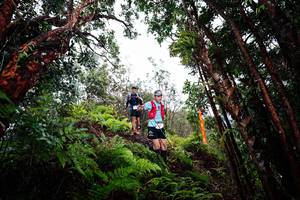 BIB: 
                            <button type="button" onclick="openModal(26201961)" class="btn btn-primary btn-sm float-right btn-popup" data-toggle="modal" data-target=".modal-high-quality">
                        <i class="fas fa-shopping-cart"></i> Add to Cart
                    </button>
                                            <button type="button" onclick="isThisMe(26201961, true)" class="btn btn-success btn-sm float-right btn-popup btn-isme hidden" data-toggle="tooltip" data-placement="bottom" title="นี่คือรูปของคุณใช่ไหม คลิกที่นี่เพื่อเอาเข้าอัลบั้ม">
                        <i class="fas fa-plus"></i> Add to album
                    </button>
                    <button type="button" onclick="isThisMe(26201961, false)" class="btn btn-warning btn-sm float-right btn-popup btn-isnotme hidden">
                        <i class="fas fa-ban"></i> Remove from album
                    </button>